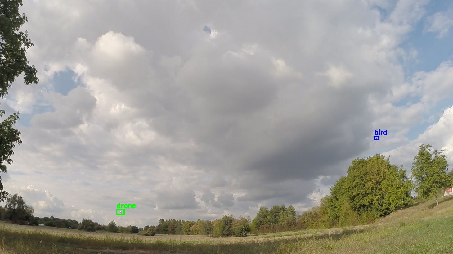 A cloudy sky over a field. Near the horizon on the lower left a drone is marked in a green box; on the right, above the trees, a bird in a blue box.